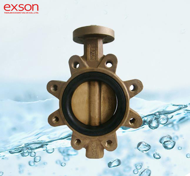C95800 Butterfly Valve